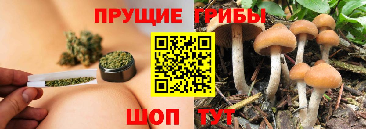 Бугульма  Галлюциногенные грибы GOLDEN TEACHER  Вход с VPN 